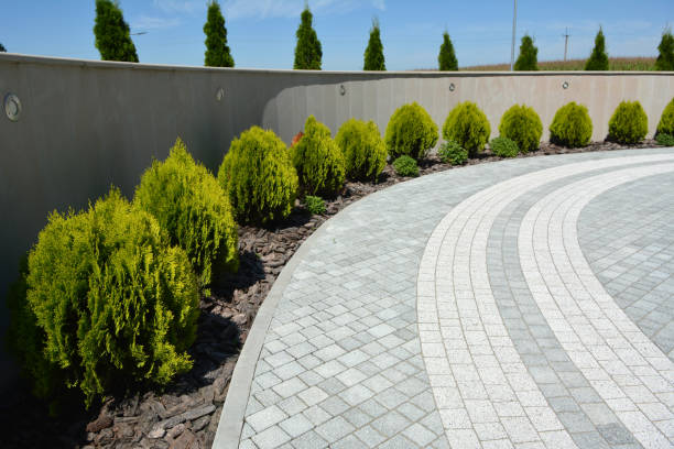 Best Driveway Paving Near Me  in Mokena, IL